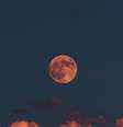 A Lua Cheia e o eclipse do dia 19 de novembro trarão período de exageros  Foto: Altınay Dinç / Unsplash