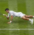 Djokovic estreou bem nas quadras londrinas hoje  Foto: Wimbledon / Divulgação