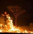 Incêndio em terra indígena no Estado do Amazonas
15/09/2019 REUTERS/Bruno Kelly  Foto: Reuters
