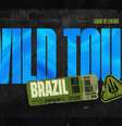 Intitulada Wild Tour, competição vai classificar o time vencedor para o primeiro torneio internacional do game  Foto: 
