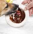 Guia da Cozinha - Receita de brigadeiro para degustar com o seu pet  Foto: Guia da Cozinha