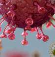 Infecções simultâneas são raras, mas podem ocorrer  Foto: Getty Images / BBC News Brasil