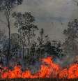 Onde a floresta já foi mais de 30% devastada, a emissão de carbono chega a ser dez vezes maior do que onde desmatamento é inferior a 20%  Foto: DW / Deutsche Welle