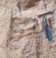 Detalhe do fóssil, identificado como parte do fêmur de um titanossauro, encravado na rocha  Foto: Willian Nava/Museu de Paleontologia de Marília/Divulgação. / Estadão