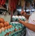 Vendedora segura ovos em um mercado de rua no Rio de Janeiro, Brasil
08/07/2021
REUTERS/Amanda Perobelli  Foto: Reuters