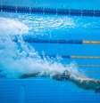 Bruno Fratus caiu na água nesta sexta-feira nos Jogos Olímpicos de Tóquio e se classificou à semifinal dos 50m livre Jonne Roriz/COB  Foto: Jonne Roriz  / COB