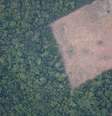 Área desmatada da Amazônia na região de Porto Velho (RO) 
21/08/2019
REUTERS/Ueslei Marcelino  Foto: Reuters