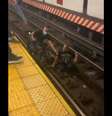 Homem salta nos trilhos do metrô de Nova York para salvar cadeirante  Foto: Reprodução Twitter / @SubwayCreatures / Estadão
