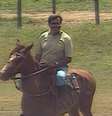 Em matéria antiga do 'Globo Rural', Tarcísio Meira como gostava de estar: em cima de um cavalo a cuidar de bois  Foto: TV Globo / Reprodução
