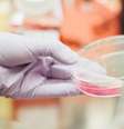 Comitê será responsável por definir como coleta de DNA será realizada   Foto: Drew Hays/Unsplash / Tecnoblog