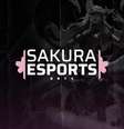Sakuras Esports começou em 2018  Foto: Divulgação/Sakuras 