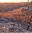 Zona rual de Morro Agudo sofreu com incêndio  Foto:  Reprodução/Prefeitura de Morro Agudo