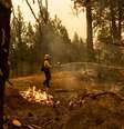 Bombeiros combatem chamas de incêndio florestal na Califórnia
31/08/2021
REUTERS/Aude Guerrucci  Foto: Reuters