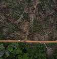 Vista aérea da floresta amazônica brasileira 
05/09/2021
REUTERS/Bruno Kelly  Foto: Reuters