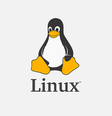 O sistema Linux apresenta muitos jogos atuais   Foto: Linux/Divulgação / Tecnoblog