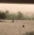 Tempestade de poeira deixou rastros de estragos nas cidades   Foto: 
