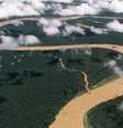 O rio Japurá, na fronteira entre o Brasil e a Colômbia, é afluente do rio Solimões  Foto: Getty Images / BBC News Brasil