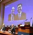 Anúncio do Prêmio Nobel de Medicina para David Julius e Ardem Patapoutian, em Estocolmo  Foto: EPA / Ansa