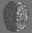 Discussões sobre se o cérebro humano é ou não computável dividem cientistas há anos   Foto: Seanbatty/Pixabay / Meio Bit