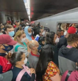 Passageiros enfrentam lotação e caos no transporte público de SP  Foto: TV Globo / Reprodução