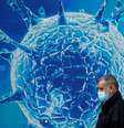 Homem de máscara passa em frente a ilustração de vírus
03/08/2020 REUTERS/Phil Noble  Foto: Reuters