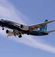 Acidente com um Boeing 737 Max matou 157 pessoas na Etiópia, em 2019   Foto: 