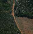 Vista aérea de região desmatada da Amazônia em Rondônia
REUTERS/Adriano Machado  Foto: Reuters