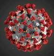 Foto de ilustração do coronavírus
29/01/2020 Alissa Eckert, MS; Dan Higgins, MAM/CDC/Divulgação via REUTERS  Foto: Reuters