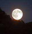 Lua Nova em Capricórnio abre o ano com chave de ouro   Foto: Pixabay
