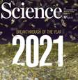 Para a revista Science, uso de IA para detectar proteínas é o maior avanço da ciência em 2021  Foto: Reprodução/Science / Estadão