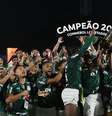 Palmeiras foi o último campeão da Libertadores e vai disputar o Mundial no ano que vem  Foto: Cesar Greco / Palmeiras