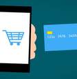 O segmento deve terminar o ano com crescimento de 38%, conquistando um faturamento de R$ 304 bilhões  Foto: Mohamed Hassan / Pixabay