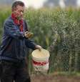 Agricultor chinês em Gaocheng
30/09/2015
REUTERS/Kim Kyung-Hoon  Foto: Reuters