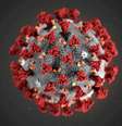 Foto de ilustração do coronavírus
29/01/2021 Alissa Eckert, MS; Dan Higgins, MAM/CDC/Divulgação via REUTERS  Foto: Reuters