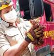 Bombeiros utilizaram equipamentos de salvamento terrestre para salvar o animal  Foto: Instagram/Corpo de Bombeiros de Goiás / Reprodução