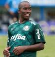 Endrick, de apenas 15 anos, é o principal destaque do Palmeiras na Copinha  Foto: Divulgação/SE Palmeiras / Estadão