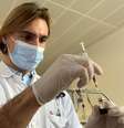 Pesquisadores suíços iniciam testes com vacina "adesiva" contra Covid  Foto: Reuters
