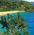 Menina de 8 anos foi atacada por tubarão em uma das praias de Fernando de Noronha  Foto: Reprodução