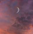 Semana de Lua Crescente em Touro ainda com energias tensas  Foto: Kylefromthenorth  / Unsplash