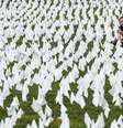  Foto: DW / Deutsche Welle