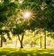 Criado por decreto de 2015, a obra de implementação do Parque dos Búfalos, no Jardim Apurá, no extremo sul da capital, deve ser iniciada no próximo mês  Foto: Gayatri Malhotra/Unsplash 