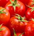 Tomate ainda ajuda a emagrecer  Foto: Shutterstock / Saúde em Dia