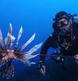 O mergulhador Fernando Rodrigues com um peixe-leão capturado em Noronha: 'A gente já chegou a ver oito peixes-leão em um único mergulho'  Foto: Divulgaçao/Fernando Rodrigues/Sea Paradise / BBC News Brasil