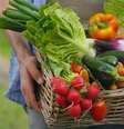 Como economizar na hora de comprar verduras – Foto: Shutterstock  Foto: Guia da Cozinha