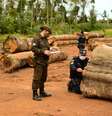 Agentes da Polícia Federal em operação contra a extração ilegal de madeira da Floresta Amazônica  Foto: Exército 