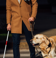 1 - iStock.png  Foto: iStock