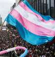Imagem mostra um braço levantando a bandeira trans na Parada Pela Diversidade em São Paulo  Foto: Imagem: Reprodução / Agência Brasil / Alma Preta