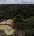 Maior reserva indígena do Brasil está invadida por garimpo ilegal de ouro  Foto: Reuters