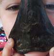 Sammy Shelton encontrou o dente gigante em uma praia de Suffolk, sul da Inglaterra  Foto: Peter Shelton / BBC News Brasil
