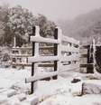 Neve em Urubici (SC), em agosto de 2010 (Foto: Getty Imagens)  Foto: Climatempo